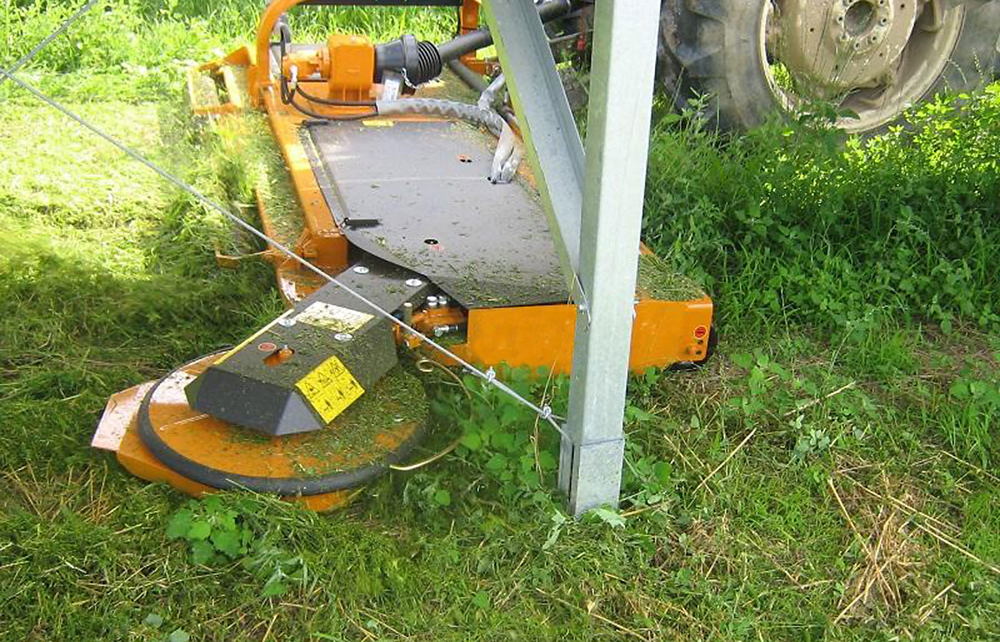 Coupe AV en gros plan