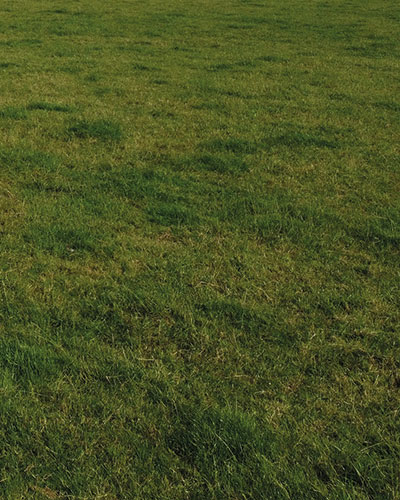 TBM Tondeuse arrière