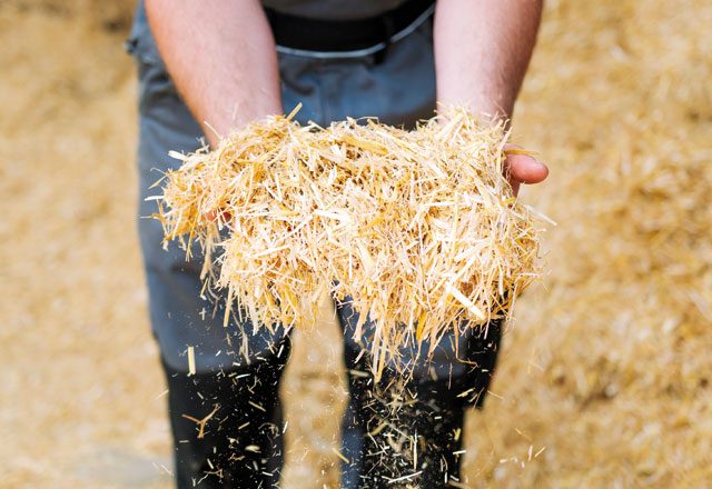 Save straw / Save time