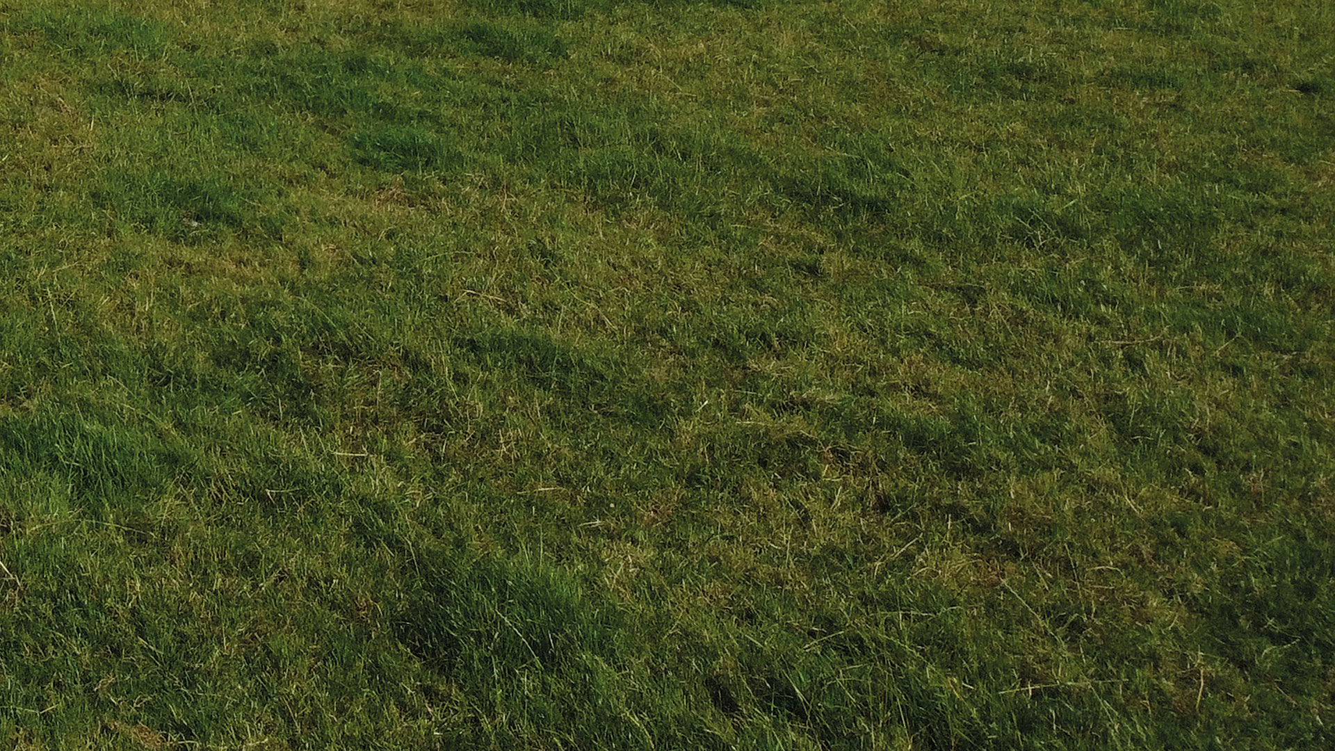TBM Tondeuse arrière