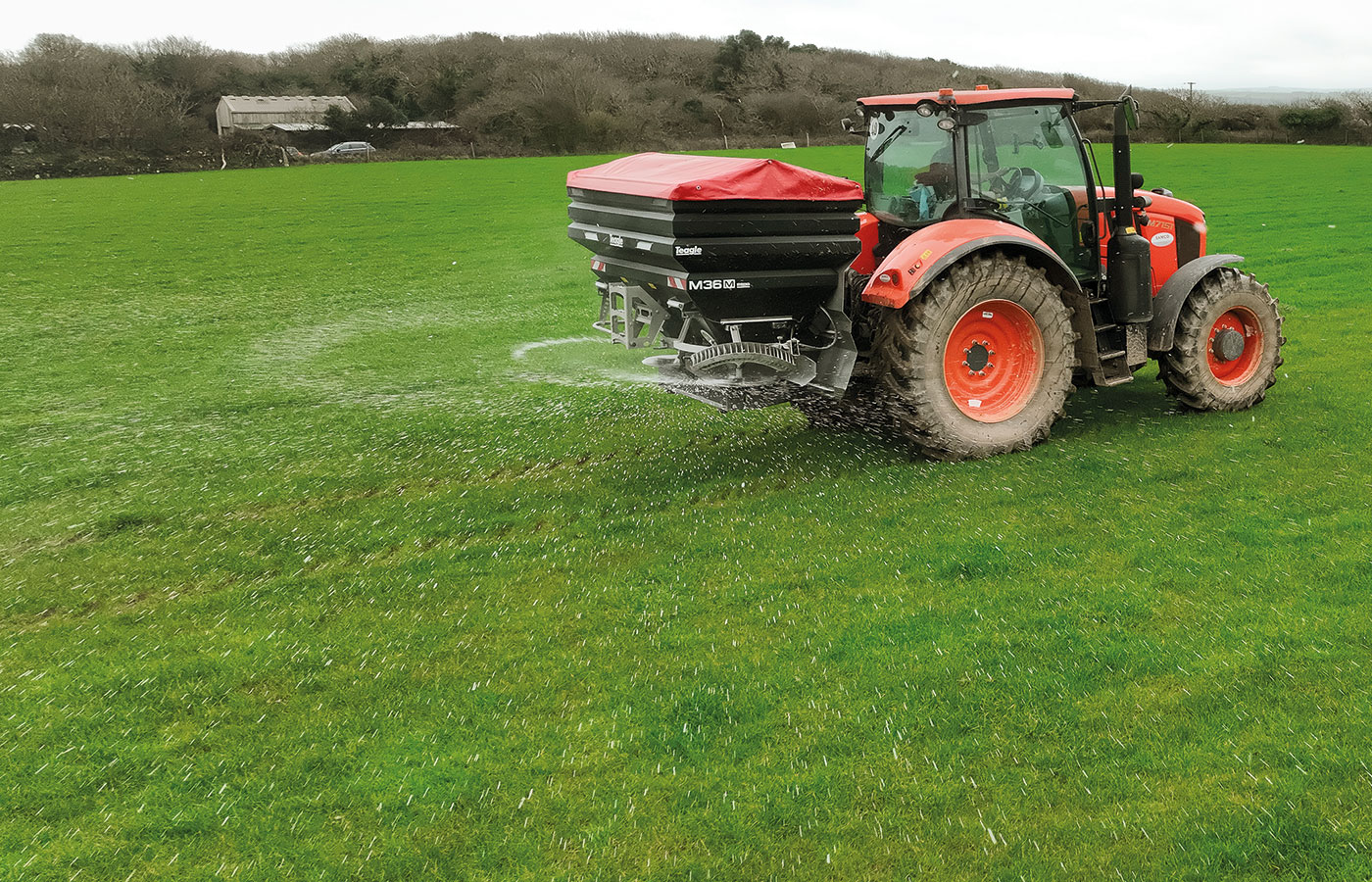 LINE M36M Fertilisation